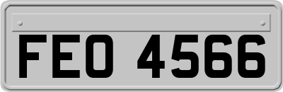 FEO4566