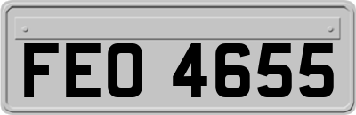 FEO4655