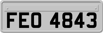 FEO4843