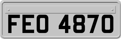 FEO4870