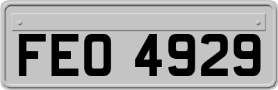 FEO4929