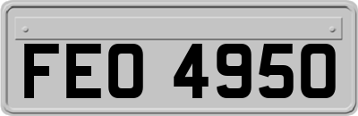 FEO4950