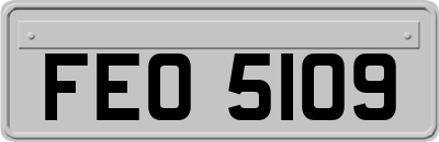 FEO5109