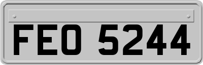 FEO5244