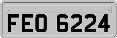 FEO6224