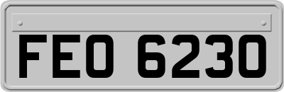 FEO6230