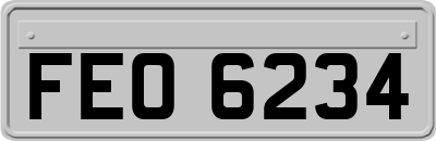 FEO6234