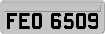 FEO6509
