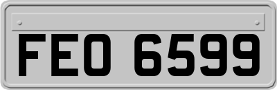 FEO6599