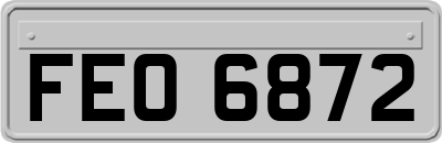 FEO6872