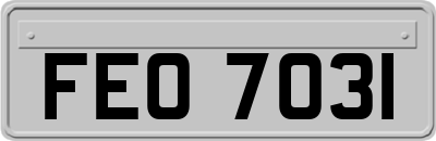 FEO7031