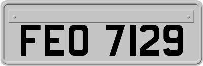 FEO7129