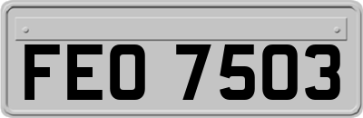 FEO7503