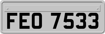 FEO7533