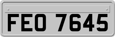 FEO7645