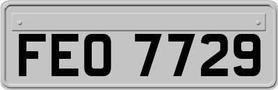 FEO7729