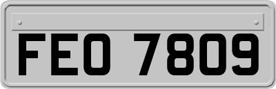 FEO7809