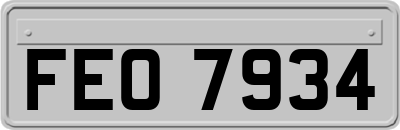 FEO7934
