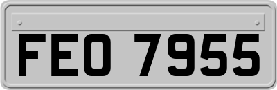 FEO7955