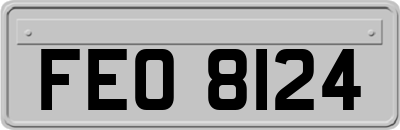 FEO8124