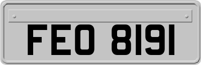 FEO8191