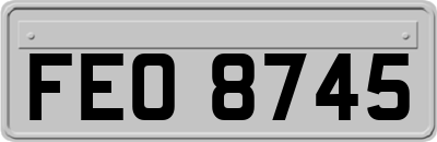 FEO8745