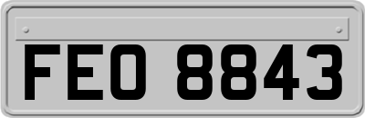 FEO8843