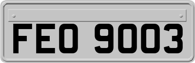 FEO9003