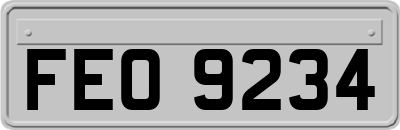 FEO9234