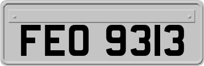 FEO9313