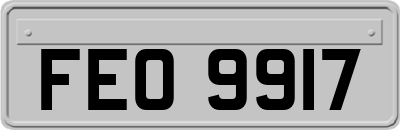 FEO9917