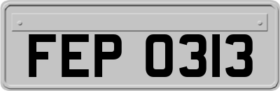 FEP0313