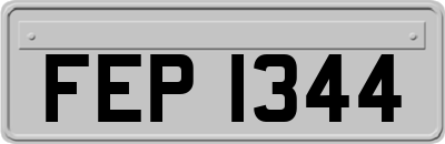 FEP1344