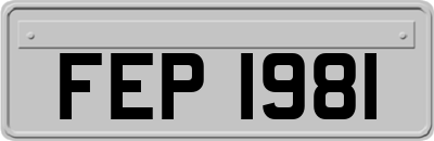 FEP1981