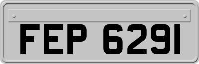 FEP6291