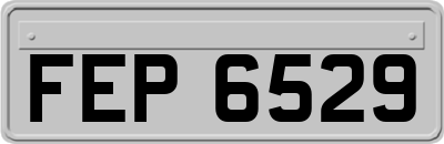 FEP6529