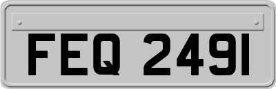 FEQ2491