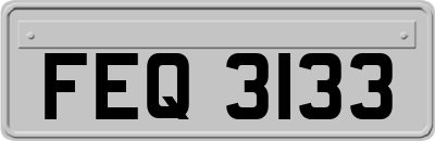 FEQ3133