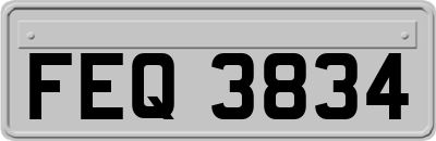 FEQ3834
