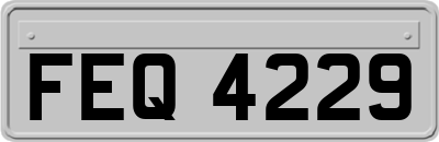 FEQ4229