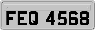 FEQ4568