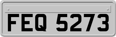 FEQ5273