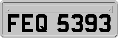 FEQ5393