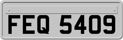 FEQ5409