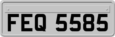 FEQ5585