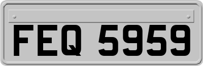 FEQ5959