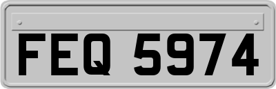 FEQ5974