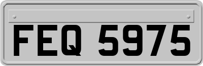 FEQ5975
