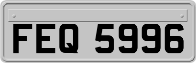 FEQ5996