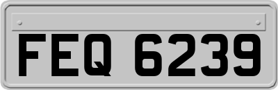 FEQ6239